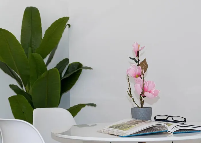 Precioso Estudio Junto A La Catedral アパート